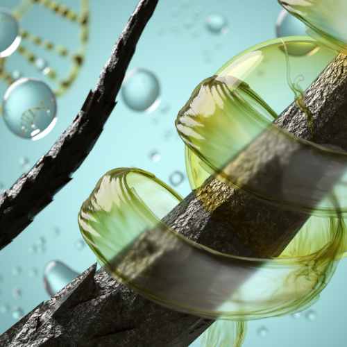 Regenera Activa stem cell hair treatment at HDA Clinic